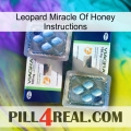 Leopard Miracle Of Honey Instructions viagra5